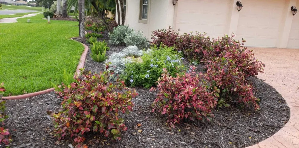 Custom lawn care service for beautiful yards across Venice, FL - Dirty Blonde Landscape Design and Install