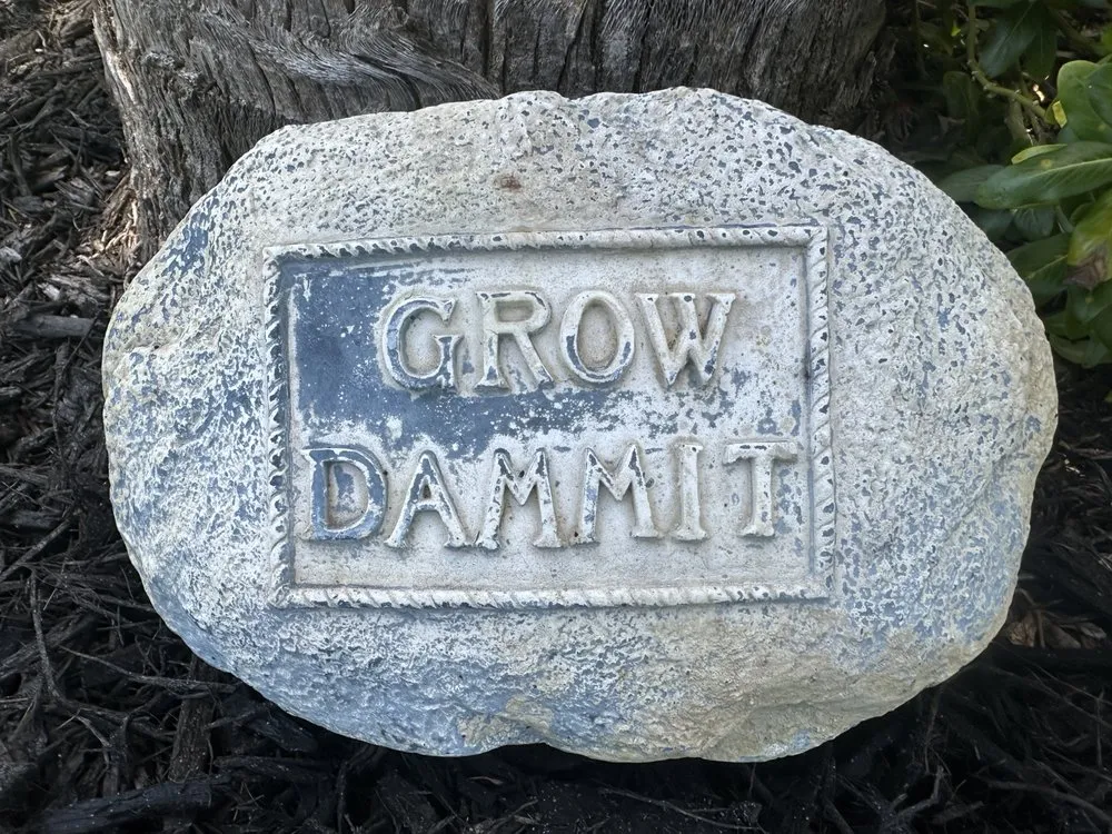 Local garden landscaping near you in Venice, FL by Dirty Blonde Landscape Design and Install