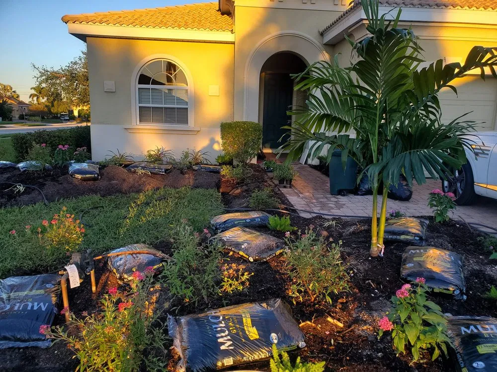 Professional yard cleanup service in Venice, FL by Dirty Blonde Landscape Design and Install