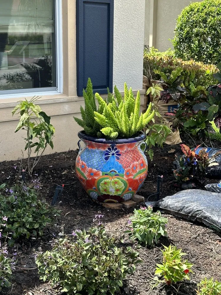 Local outdoor landscaping in Venice, FL by Dirty Blonde Landscape Design and Install