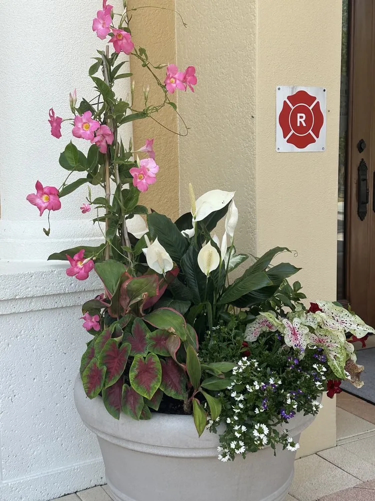 Expert outdoor landscaping in Venice, FL - Dirty Blonde Landscape Design and Install