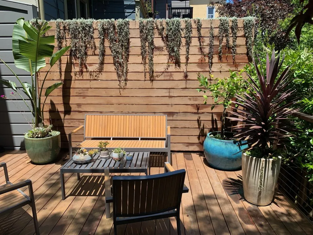 Expert yard cleanup service experts serving San Francisco, CA - Dirty Boots Gardens