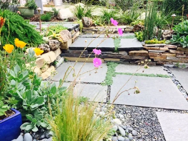 Custom outdoor landscaping for beautiful yards in San Francisco, CA by Dirty Boots Gardens