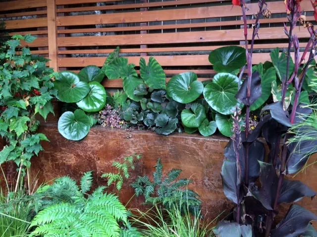 Affordable garden landscaping experts serving San Francisco, CA - Dirty Boots Gardens