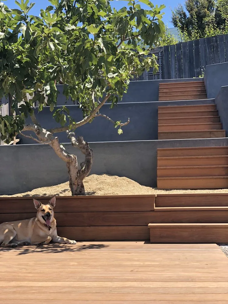 Professional residential landscaping experts serving San Francisco, CA - Dirty Boots Gardens