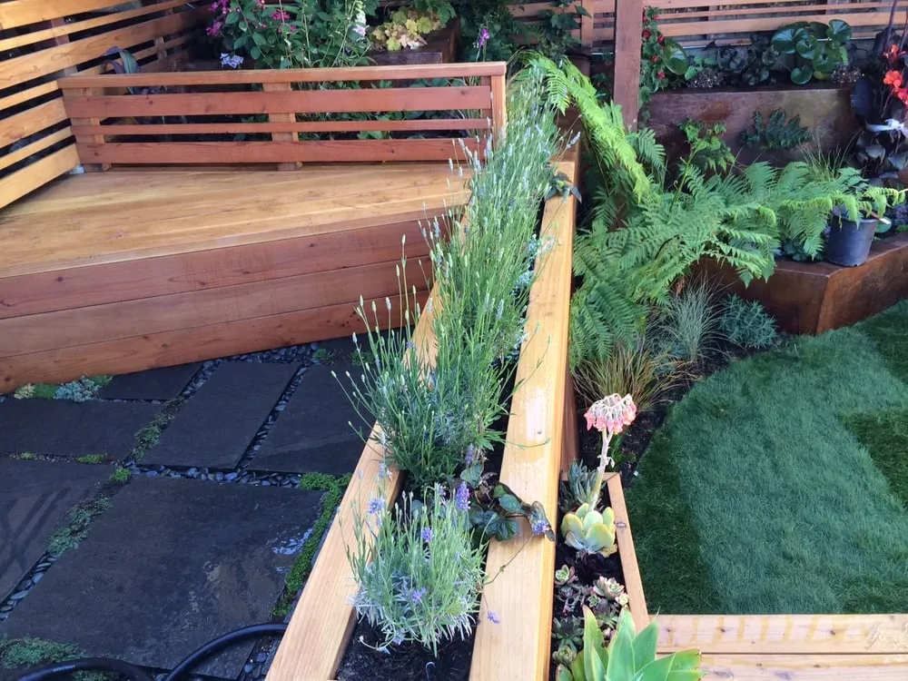 Affordable garden landscaping in San Francisco, CA by Dirty Boots Gardens