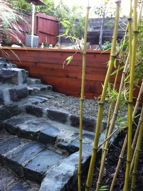 Professional landscaping services in San Francisco, CA - Dirty Boots Gardens