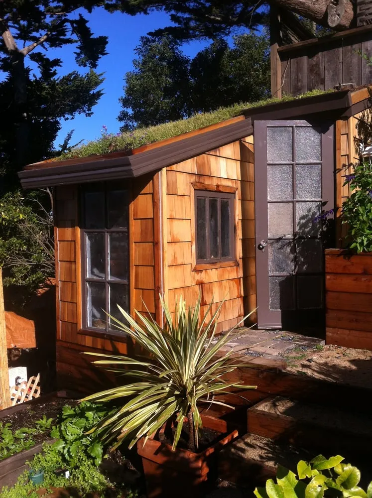 Custom lawn care service for beautiful yards in San Francisco, CA by Dirty Boots Gardens