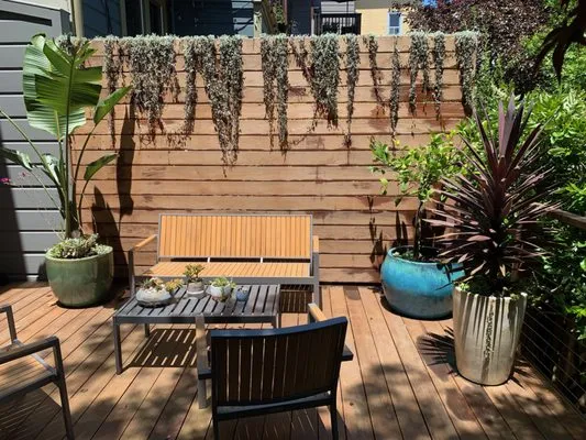 Dirty Boots Gardens Logo