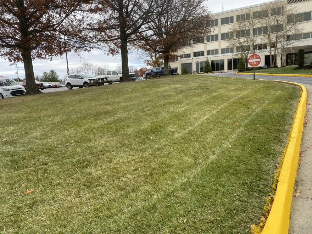 Affordable residential landscaping in Charlton Heights, WV by Dirty Boyz Cleaning Services
