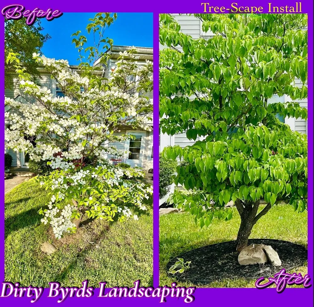 Local yard maintenance with custom design in Essex, MD by Dirty Byrds Landscaping