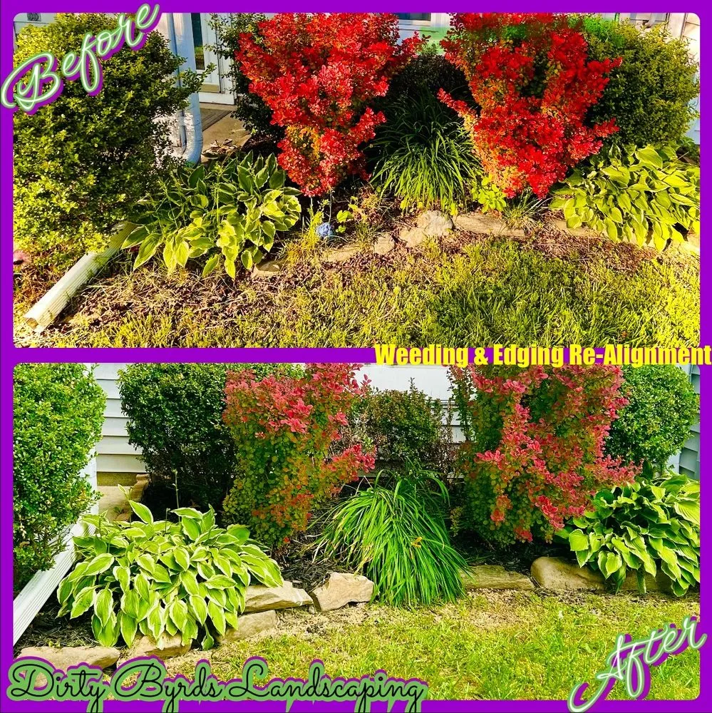 Top-rated landscape design in Essex, MD - Dirty Byrds Landscaping