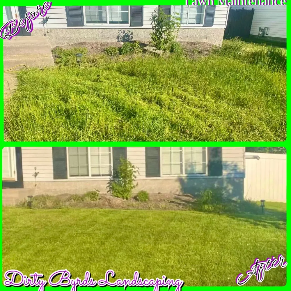 Trusted yard maintenance in Essex, MD by Dirty Byrds Landscaping