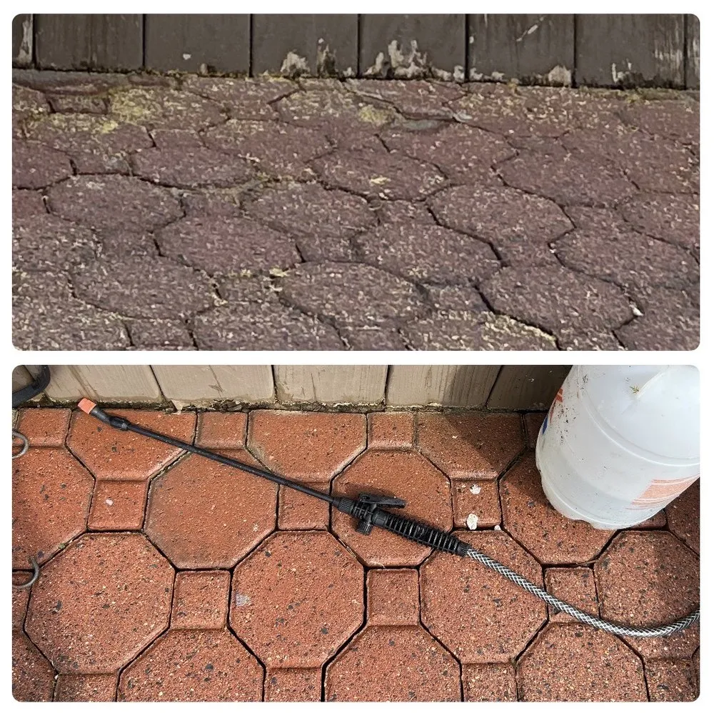 Custom landscape installation near you in Essex, MD by Dirty Byrds Landscaping