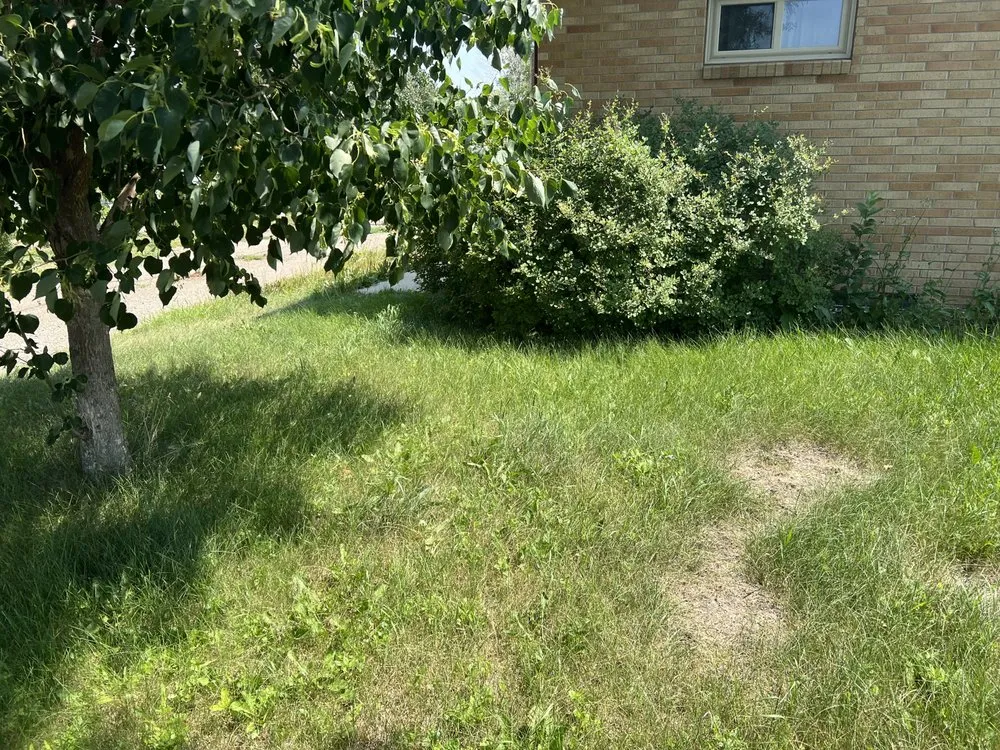 Custom yard cleanup service in Underwood, ND - Dirty Dan's Dirt and Lawncare