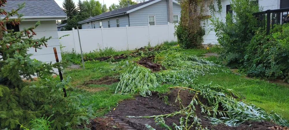 Custom lawn mowing service for homes across Underwood, ND - Dirty Dan's Dirt and Lawncare