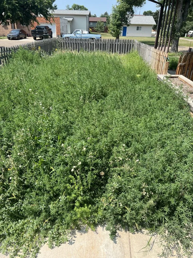 Reliable yard maintenance in Underwood, ND by Dirty Dan's Dirt and Lawncare