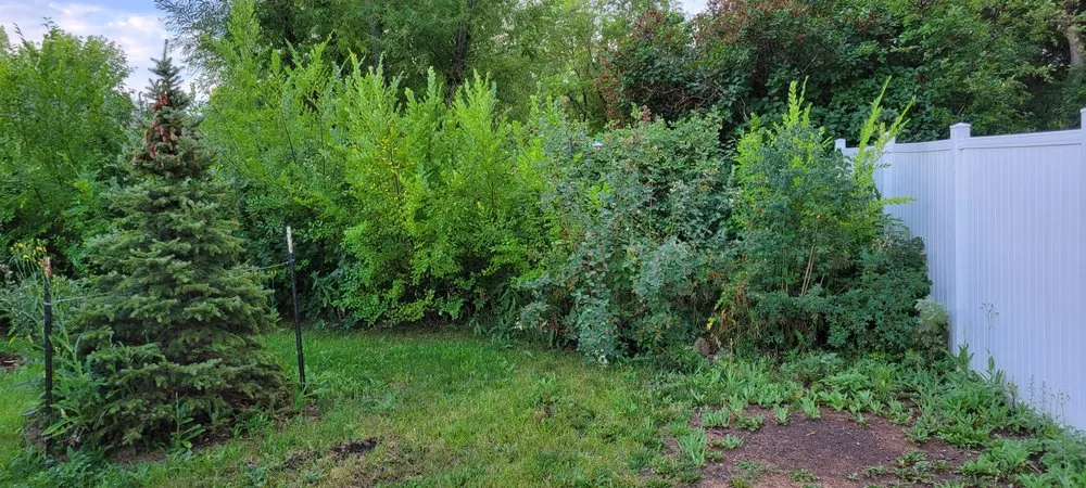 Top-rated landscape design for homes across Underwood, ND - Dirty Dan's Dirt and Lawncare