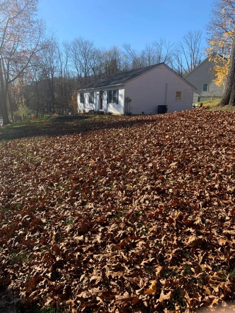 Expert landscaping services in Washington, NJ - Dirty Dan's Lawn Care