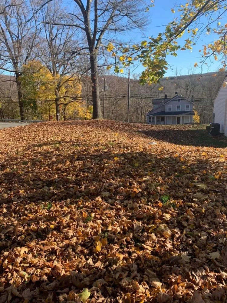 Affordable yard cleanup service with custom design in Washington, NJ by Dirty Dan's Lawn Care