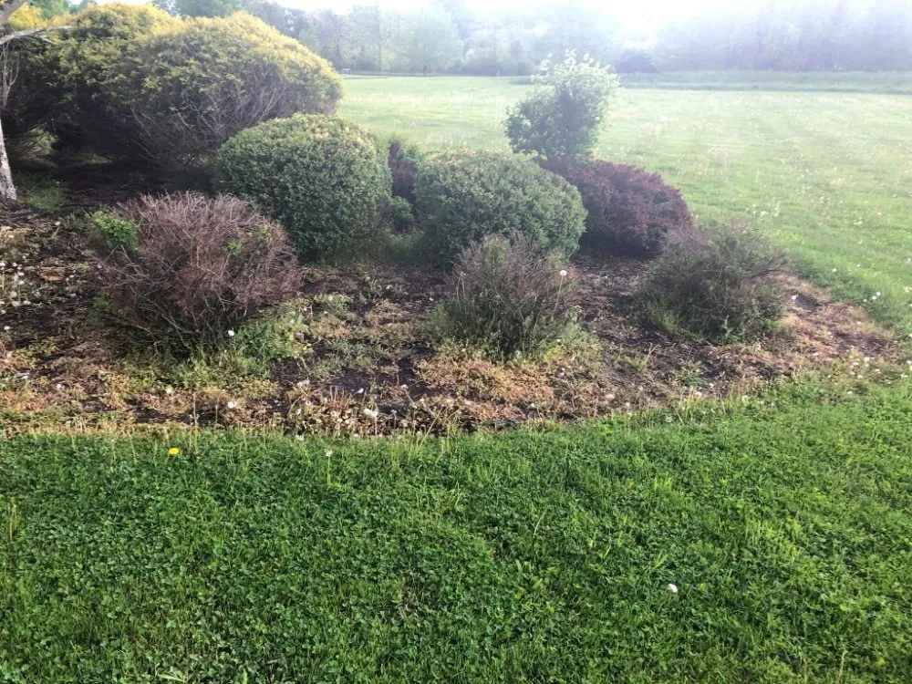Reliable garden landscaping in Washington, NJ - Dirty Dan's Lawn Care