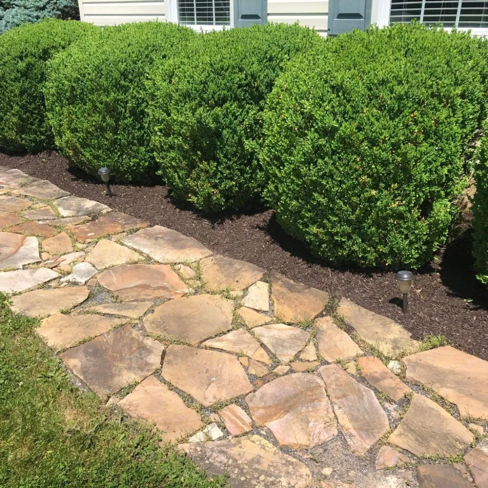 Expert garden landscaping for residential properties in Washington, NJ by Dirty Dan's Lawn Care