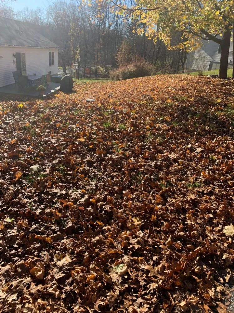 Local landscaping services for year-round maintenance across Washington, NJ - Dirty Dan's Lawn Care