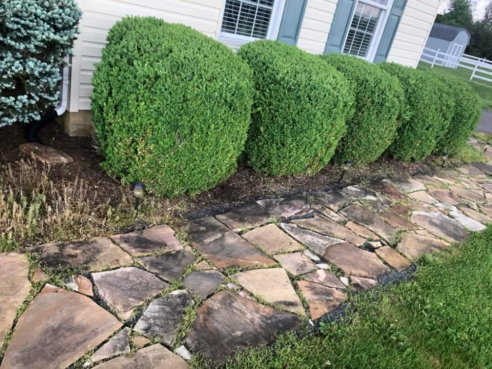 Professional lawn care service with custom design across Washington, NJ - Dirty Dan's Lawn Care