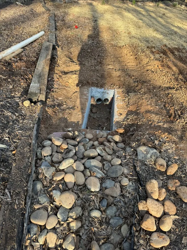 Trusted yard maintenance experts serving Gainesville, GA - Dirty Dawg Hauling And Disposal