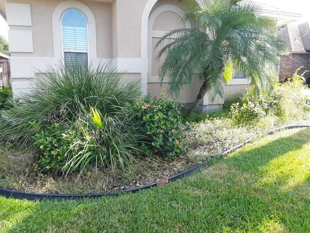 Reliable outdoor landscaping for homes across Corpus Christi, TX - Dirty Deeds Coastal Services