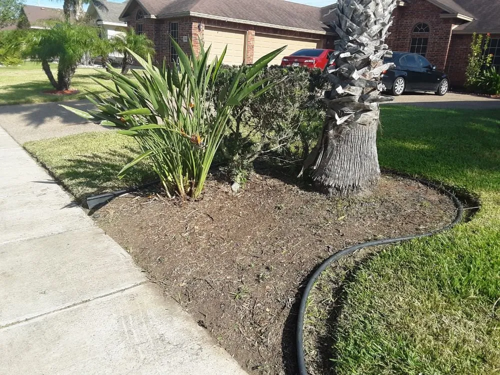 Custom yard cleanup service in Corpus Christi, TX by Dirty Deeds Coastal Services