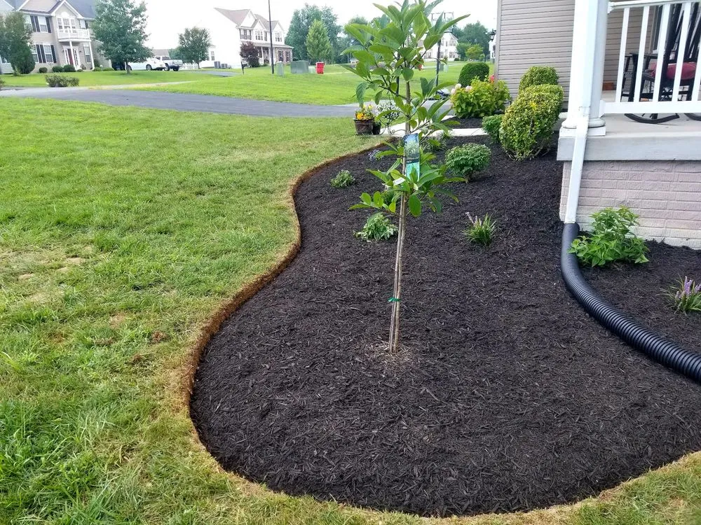 Custom lawn care service in Hagerstown, MD - Dirty Deeds Junk Removal & Hauling