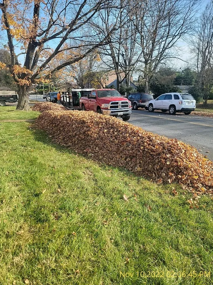 Reliable outdoor landscaping experts serving Hagerstown, MD - Dirty Deeds Junk Removal & Hauling