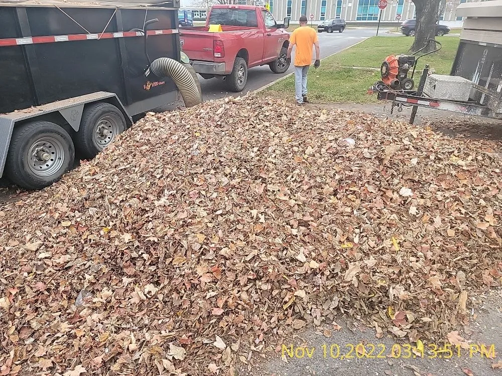 Custom yard cleanup service in Hagerstown, MD - Dirty Deeds Junk Removal & Hauling