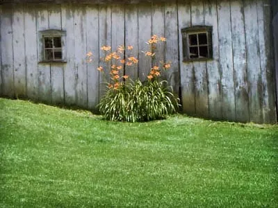 Reliable landscaping services in Hagerstown, MD - Dirty Deeds Junk Removal & Hauling