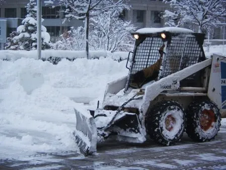 Expert yard maintenance near you in Hagerstown, MD by Dirty Deeds Junk Removal & Hauling