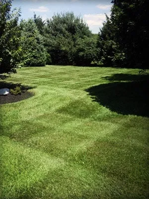 Custom yard maintenance experts serving Hagerstown, MD - Dirty Deeds Junk Removal & Hauling