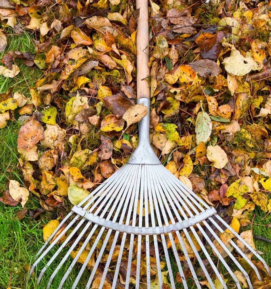 Reliable lawn care service in Fort Collins, CO by Dirty Deeds Landscaping and Trees