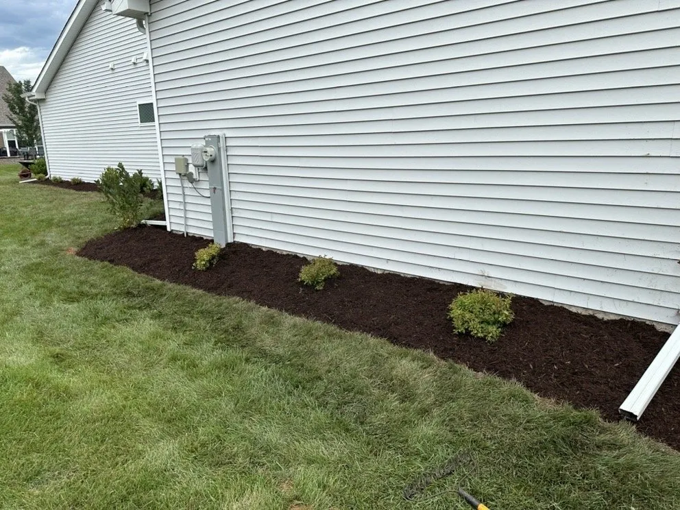 Reliable yard cleanup service in Joliet, IL by Dirty Deed's Lawn & Landscaping