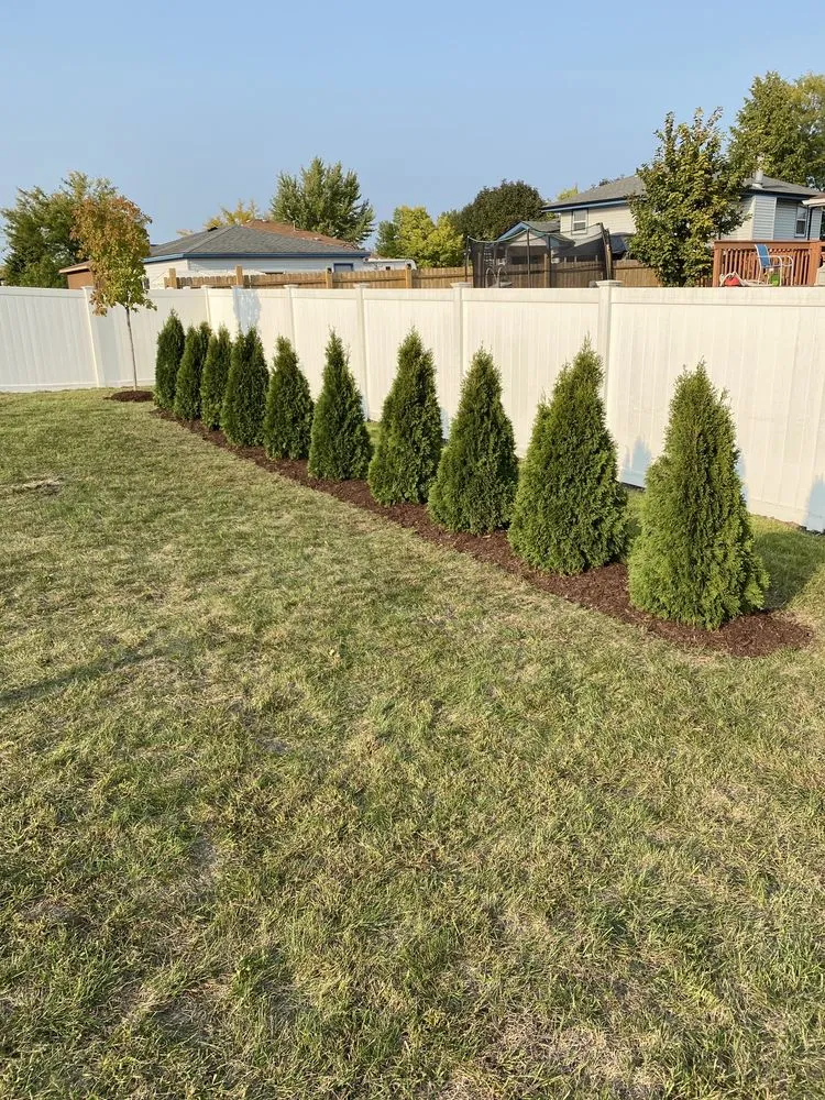 Custom lawn care service in Joliet, IL by Dirty Deed's Lawn & Landscaping