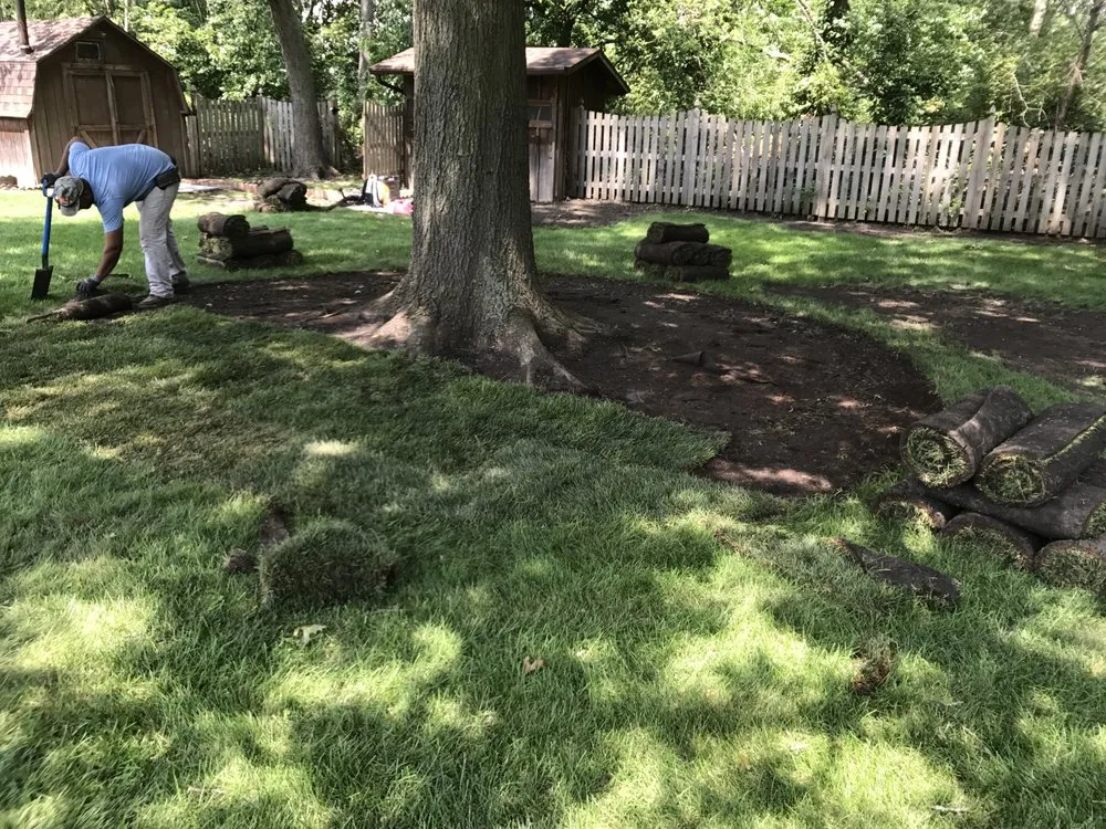 Local yard cleanup service in Joliet, IL by Dirty Deed's Lawn & Landscaping