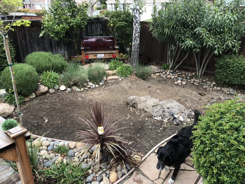 Trusted landscape design in Antioch, CA - Dirty Deeds Lawn Maintenance