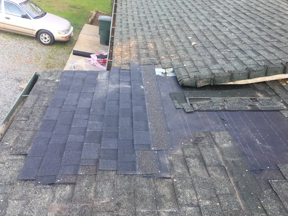 Local yard cleanup service experts serving Antioch, CA - Dirty Deeds Lawn Maintenance