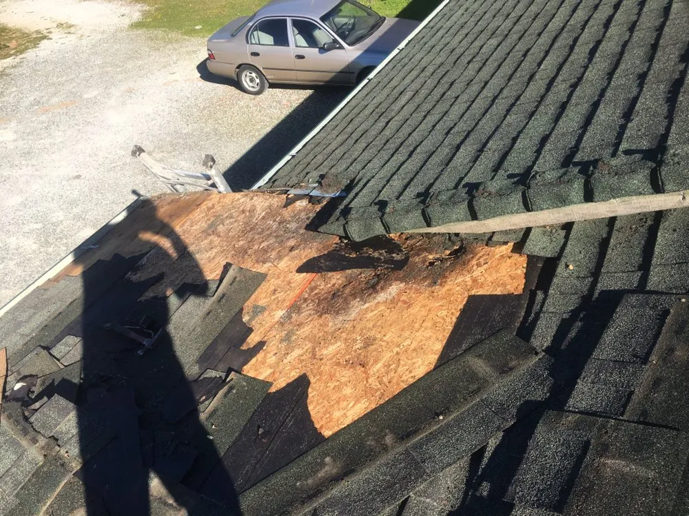 Expert landscape installation with custom design in Antioch, CA by Dirty Deeds Lawn Maintenance