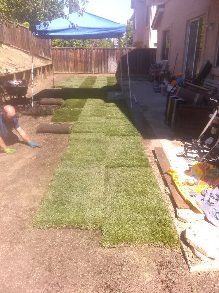 Custom lawn care service in Antioch, CA - Dirty Deeds Lawn Maintenance