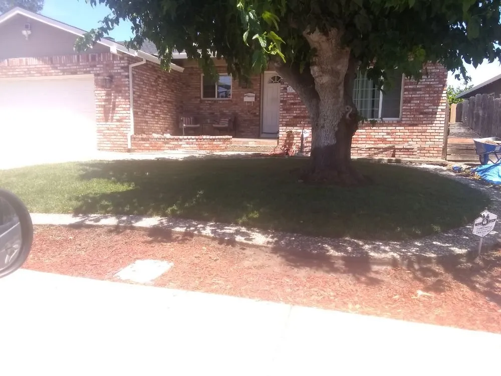 Reliable yard maintenance for residential properties across Antioch, CA - Dirty Deeds Lawn Maintenance