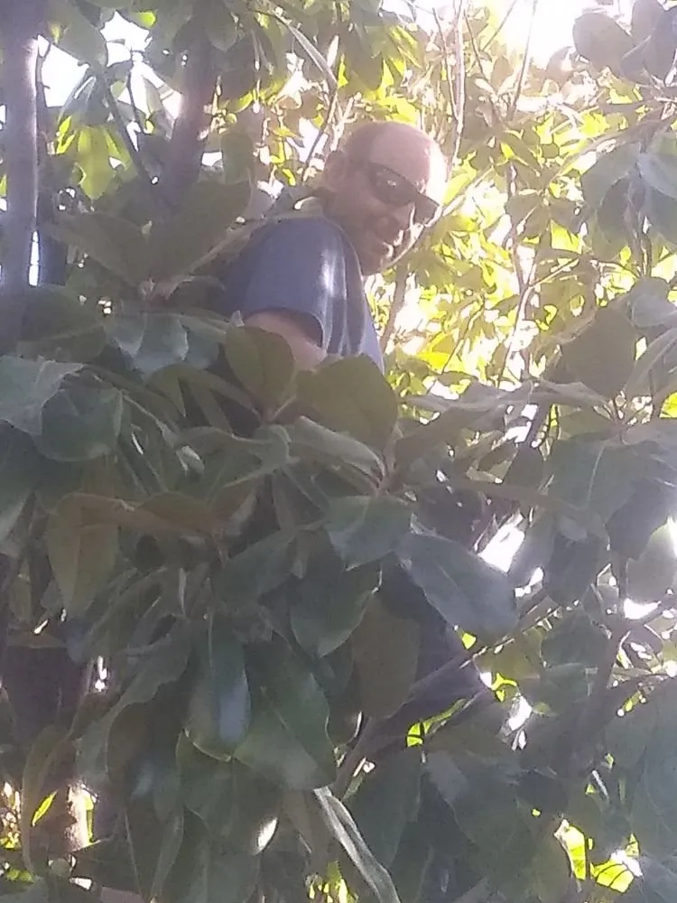 Expert landscape design experts serving Antioch, CA - Dirty Deeds Lawn Maintenance