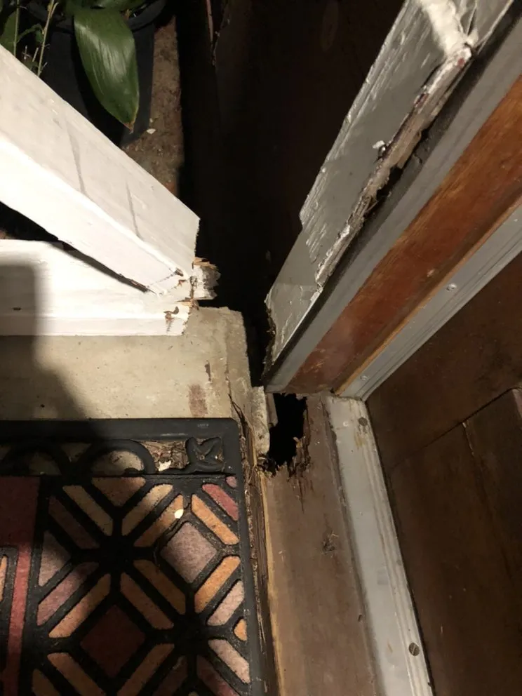 Expert landscape installation in Antioch, CA by Dirty Deeds Lawn Maintenance