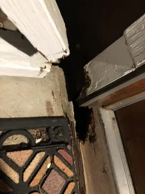 Dirty Deeds Lawn Maintenance Logo