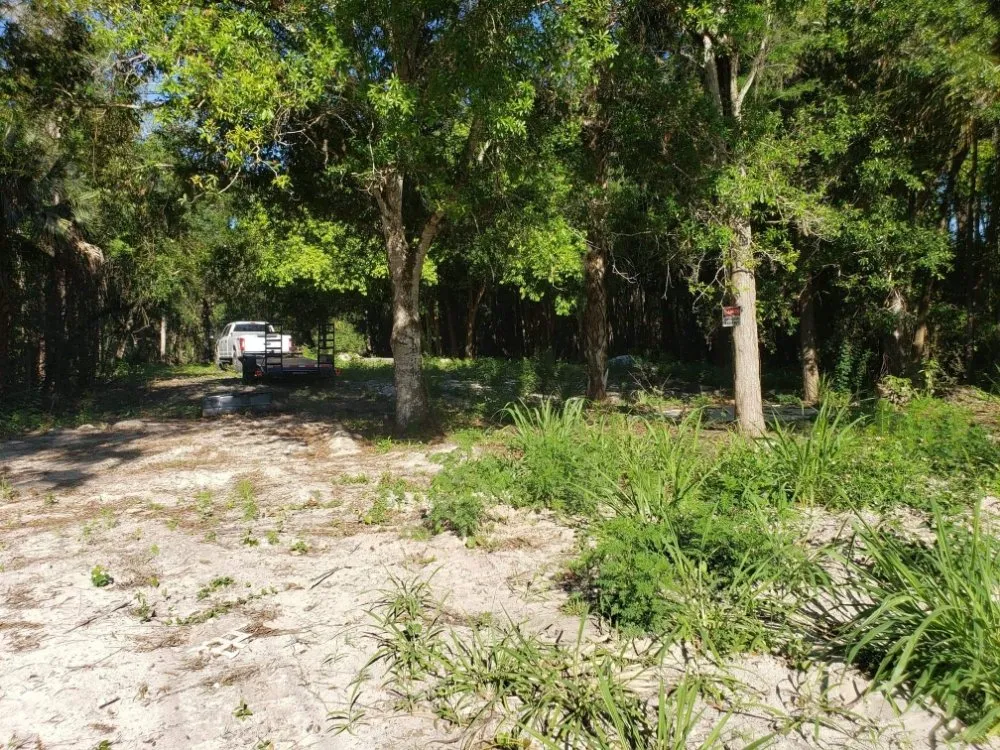Trusted landscape design in Lehigh Acres, FL - Dirty Deeds SWFL